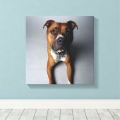Pit Bull Terrier belagern Leinwanddruck (Insitu (Holzboden))