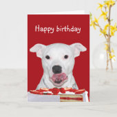 Pit Bull Terrier Birthday Karte (Gelbe Blume)