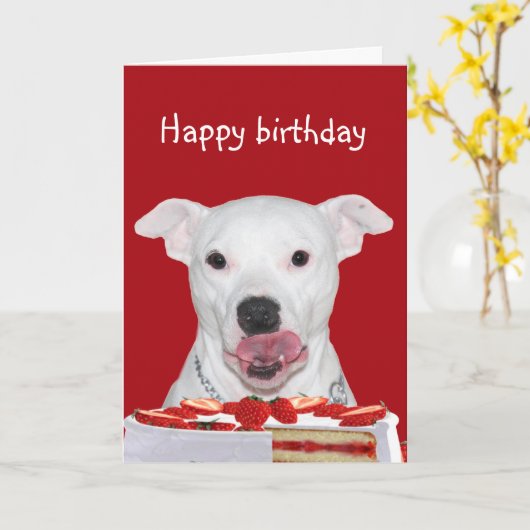 Pit Bull Terrier Birthday Karte (Gelbe Blume)