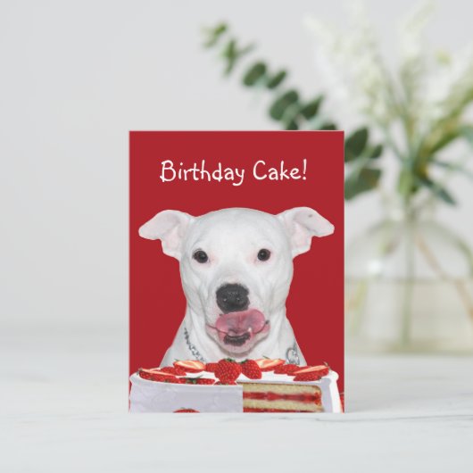 Pit Bull Terrier Birthday Postkarte (Stehend Vorderseite)