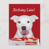 Pit Bull Terrier Birthday Postkarte (Vorderseite)