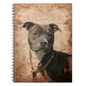 Pit Bull Terrier Notizblock (Vorderseite)