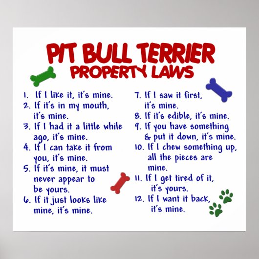 PIT BULL TERRIER PL2 POSTER (Vorne)