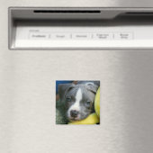 Pit Bull Terrier Pup Magnet - "Mikey" (In Situ (Geschirrspüler))