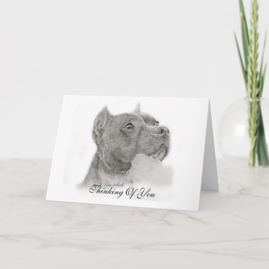 Pit Bull Thinking of You Card Karte (Vorderseite)
