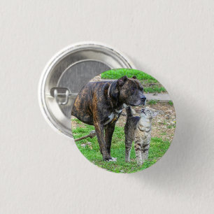 Pit Bull und Cat Button
