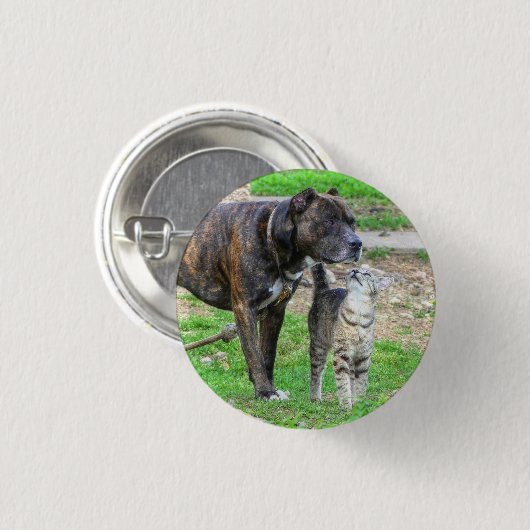 Pit Bull und Cat Button (Vorne & Hinten)
