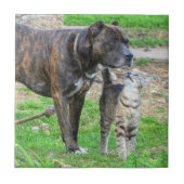 Pit Bull und Cat Fliese (Vorderseite)