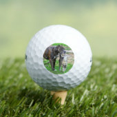 Pit Bull und Cat Golfball (Insitu T-Shirt)