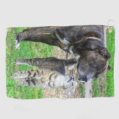 Pit Bull und Cat Golfhandtuch (Horizontal)