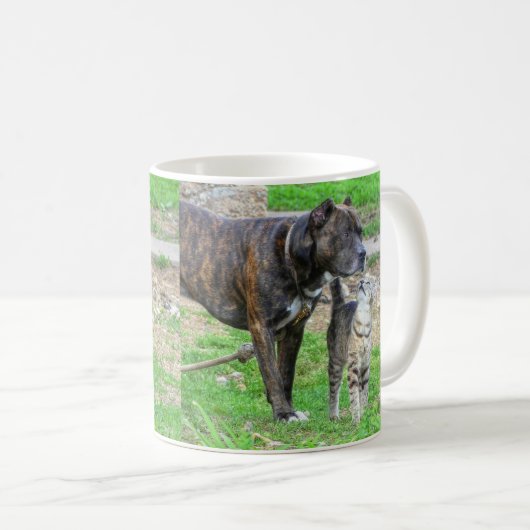 Pit Bull und Cat Kaffeetasse (VorderseiteRechts)