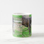 Pit Bull und Cat Kaffeetasse (Mittel)