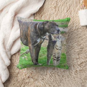 Pit Bull und Cat Kissen
