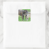 Pit Bull und Cat Quadratischer Aufkleber (Tasche)