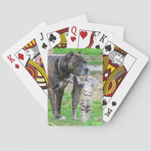 Pit Bull und Cat Spielkarten (Rückseite)