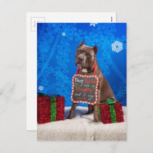 Pit-Bull Weihnachten (Vorne/Hinten)