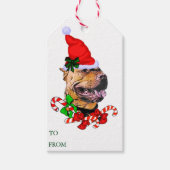Pit Bull Weihnachtsgeschenke Tags Geschenkanhänger (Vorderseite)