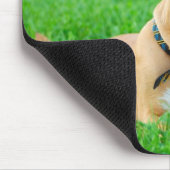 Pit Bulls regieren Mousepad (Ecke)