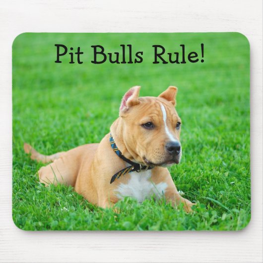 Pit Bulls regieren Mousepad (Vorne)