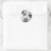 Pit Welpensticker Runder Aufkleber (Tasche)