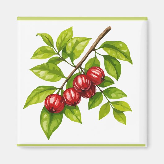 Pitangueira Magnet (Vorne)