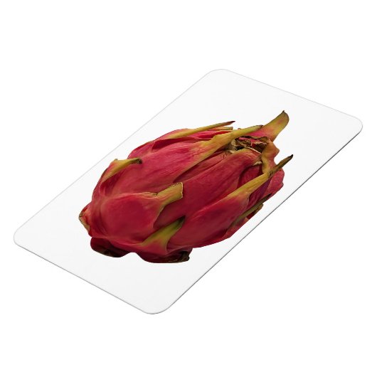 Pitaya Foto Magnet (Linke Seite)