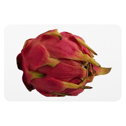 Pitaya Foto Magnet (Horizontal)