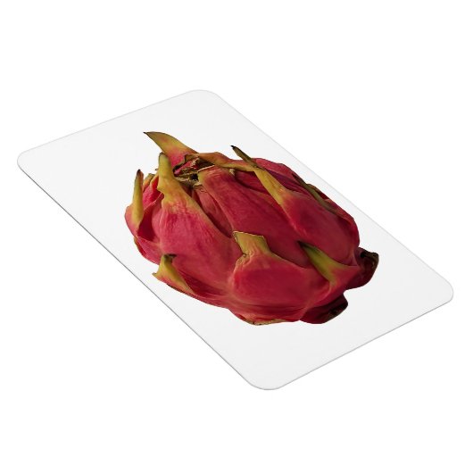 Pitaya Foto Magnet (Rechte Seite)