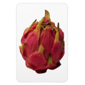 Pitaya Foto Magnet (Vertikal)