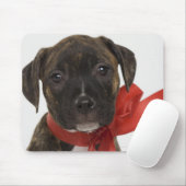 Pitbuler Welpe mit rotem Band Mousepad (Mit Mouse)