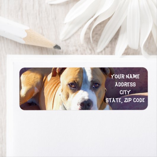 Pitbuli-Adressetiketten (Insitu)