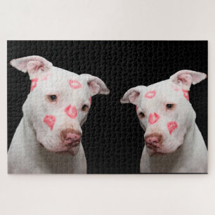 Pitbuli Kisses Puzzle