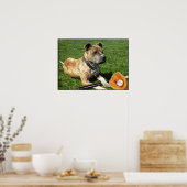 Pitbuli mit Baseballplakat Poster (Küche)