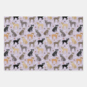 Pitbuli Paws and Bones Geschenkpapier Set (Vorderseite 2)