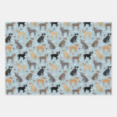 Pitbuli Paws and Bones Geschenkpapier Set (Vorderseite)