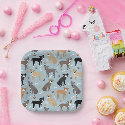 Pitbuli Paws and Bones Pappteller (Party)