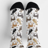 Pitbuli Paws and Bones Socken (Oben)