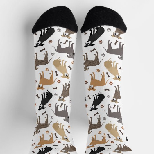 Pitbuli Paws and Bones Socken (Oben)