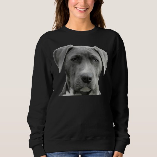 Pitbuli-Portrait Sweatshirt (Vorderseite)