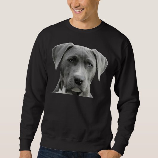 Pitbuli-Portrait Sweatshirt (Vorderseite)