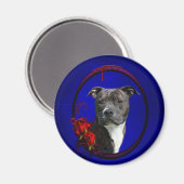 Pitbuli und blutige Rose Magnet (Vorderseite/Rückseite)