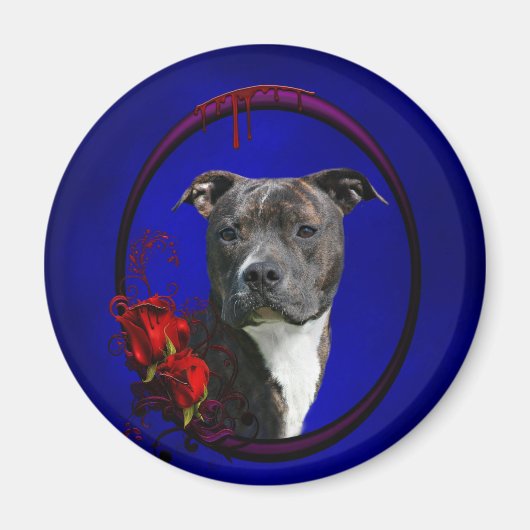 Pitbuli und blutige Rose Magnet (Vorne)