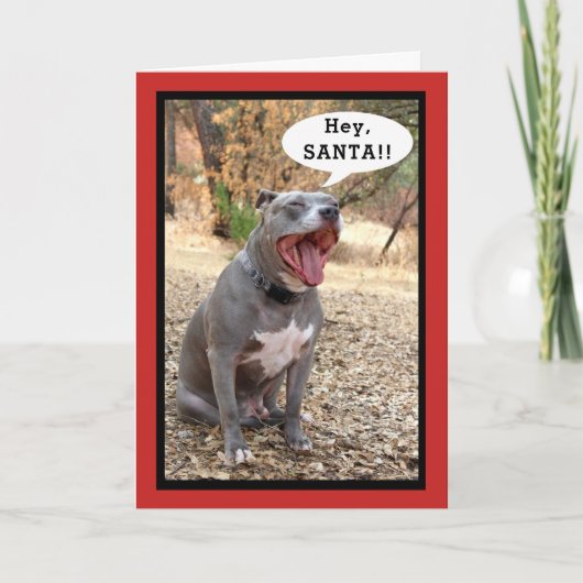 Pitbuli Weihnachtskarte Feiertagskarte (Vorderseite)