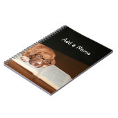 Pitbuli Welpe liest Notizblock (Linke Seite)