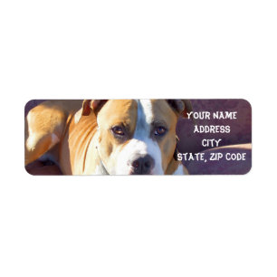 Pitbull Adressen-Etiketten