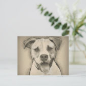Pitbull - American Bulldog Pencil Sketch-Portrait Postkarte (Stehend Vorderseite)
