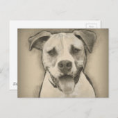 Pitbull - American Bulldog Pencil Sketch-Portrait Postkarte (Vorne/Hinten)