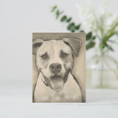 Pitbull - American Bulldog Pencil Sketch-Portrait Postkarte (Stehend Vorderseite)