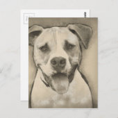 Pitbull - American Bulldog Pencil Sketch-Portrait Postkarte (Vorne/Hinten)