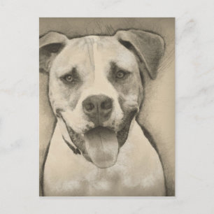 Pitbull - American Bulldog Pencil Sketch-Portrait Postkarte